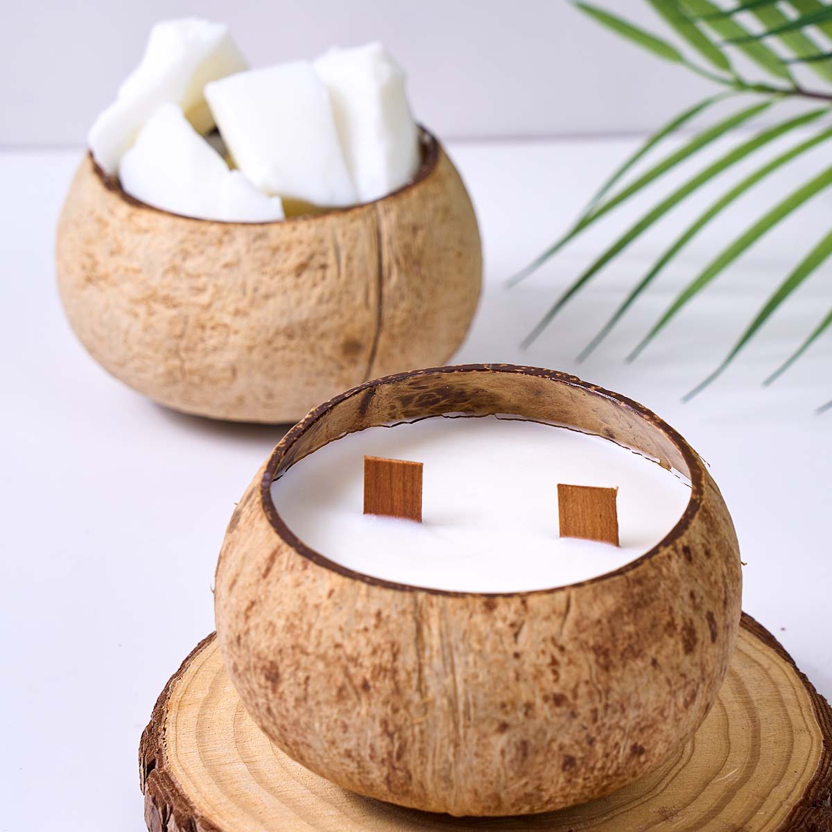 1LB Lilin Kelapa Putih Lilin T - Coconut Wax Flake ulasan dan harga